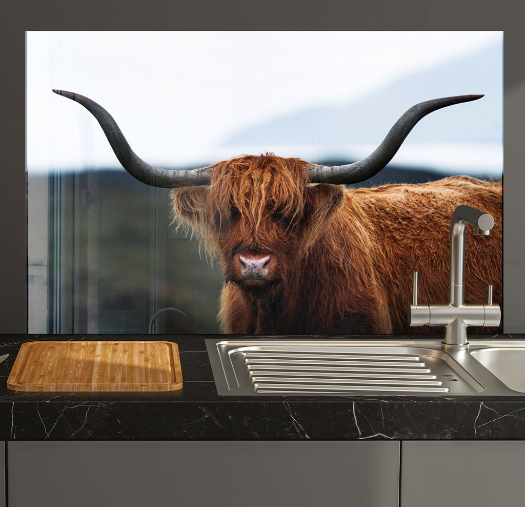 a cow with long horns standing next to a kitchen sink