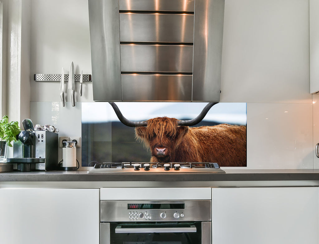 a picture of a cow is on the wall of a kitchen