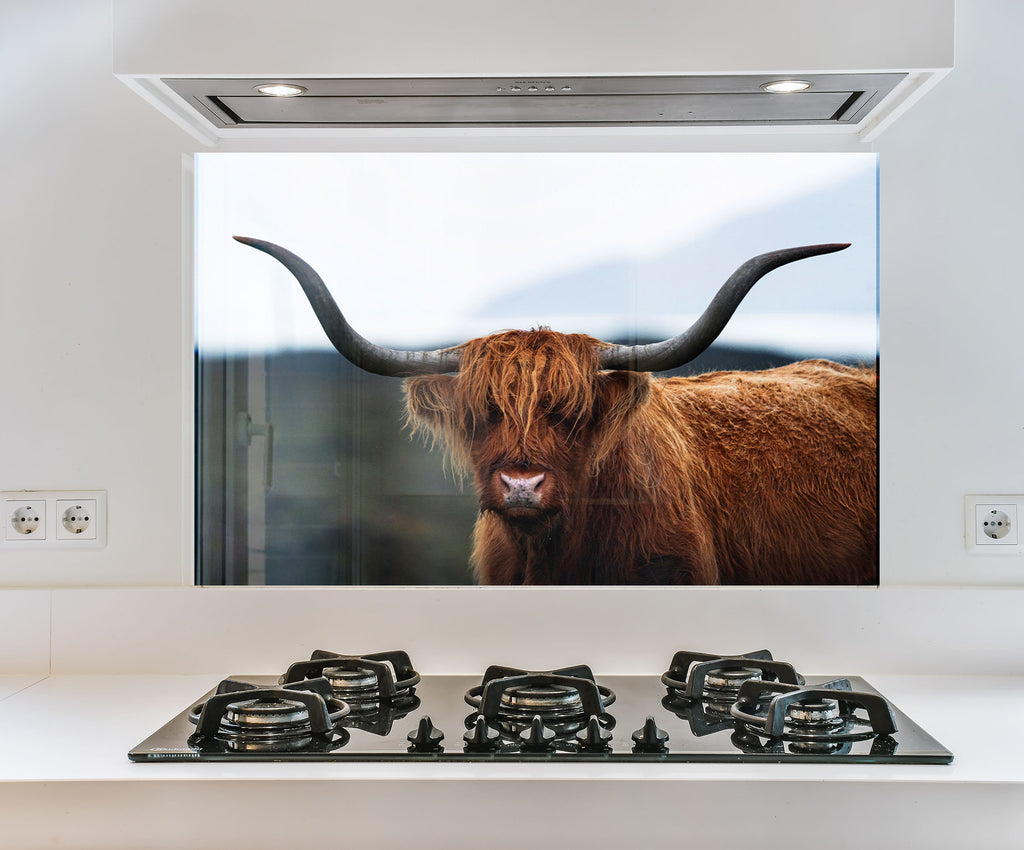 a picture of a bull with long horns is on the wall above the stove