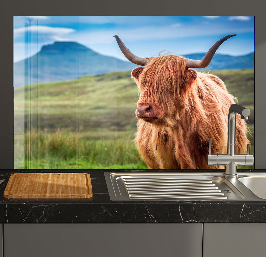 a long haired cow standing in a kitchen sink