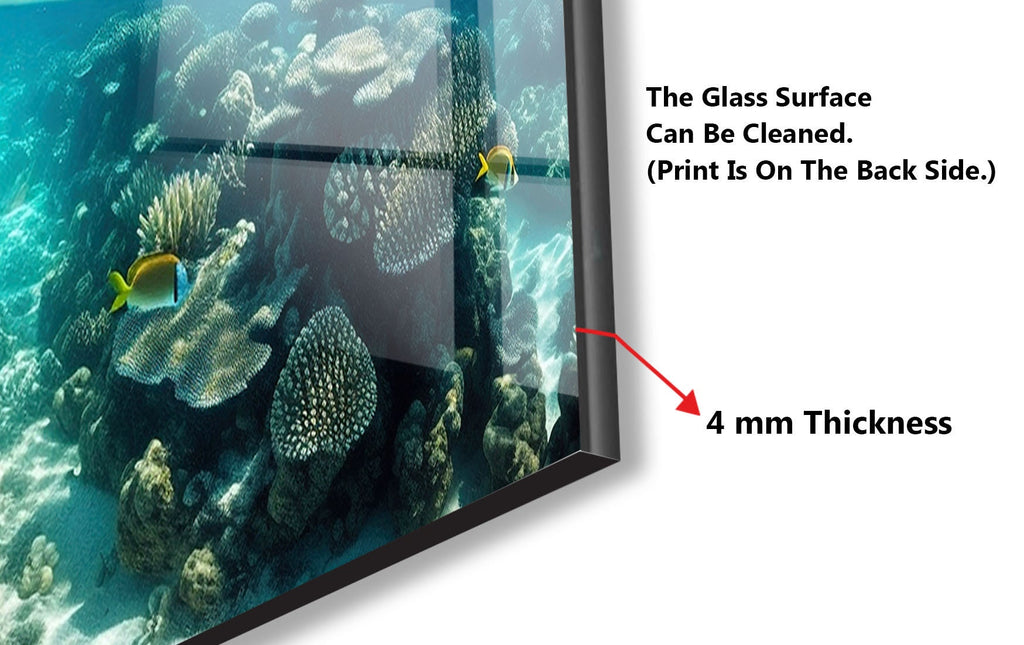 a picture of a fish tank with a glass surface